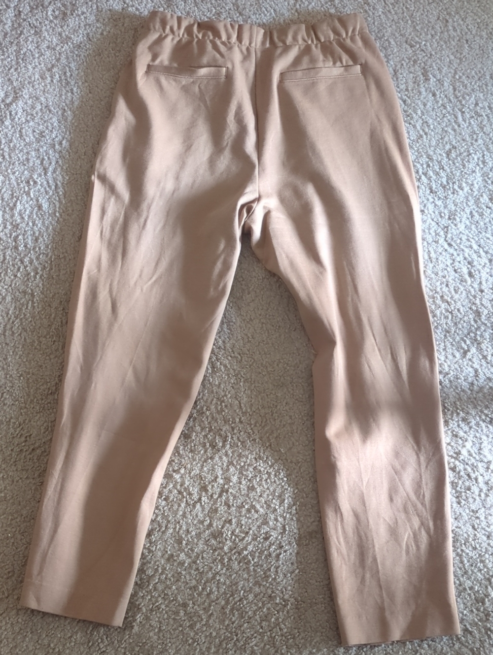 Everlane Slim Pleated Pants - Beige - Picture 3 of 5